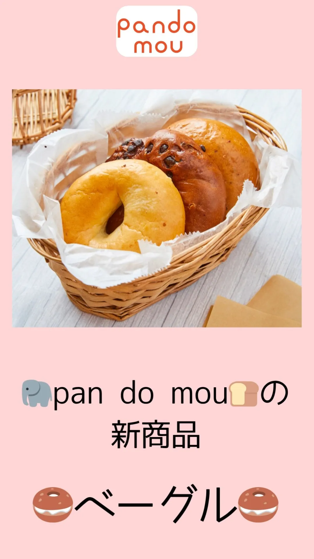 🥯ベーグル大人気！🐘