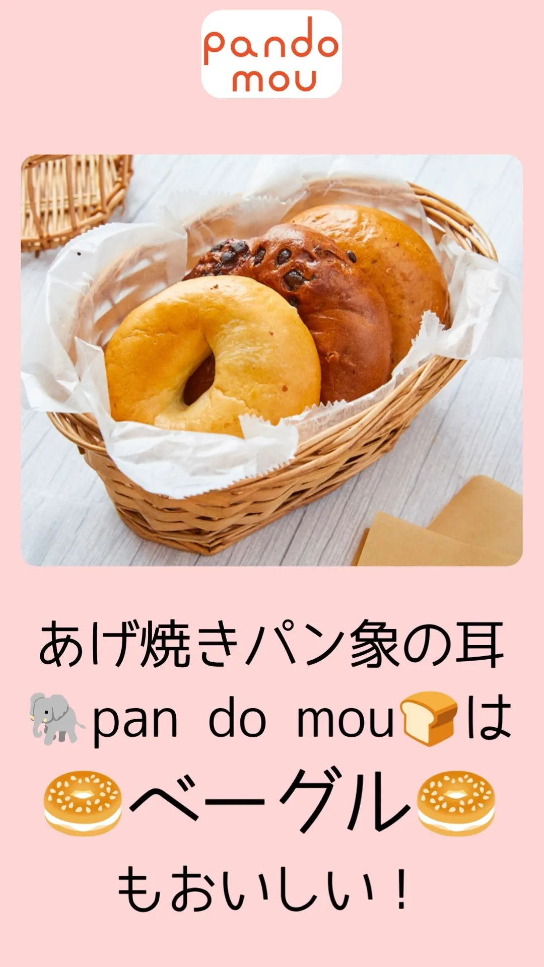 ベーグルとpan do mouの魅力を福岡県福岡市早良区で比較しながら選ぶコツ徹底ガイド