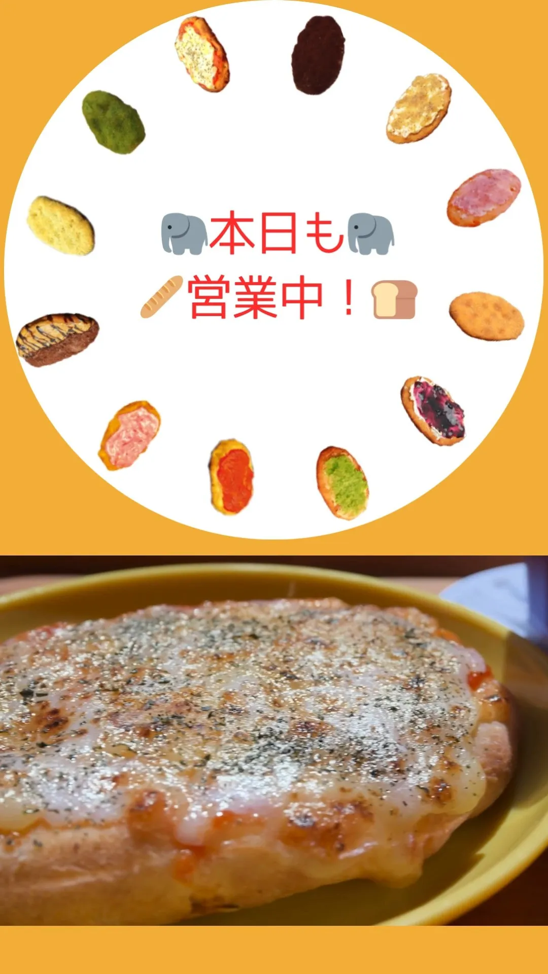 🐘pan do mou🍞は